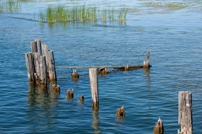 High angle view of ducks on wooden post in lake