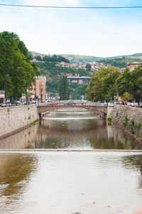 Reflection of trees in water against sky