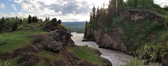 Scenic view of rocks in forest against sky