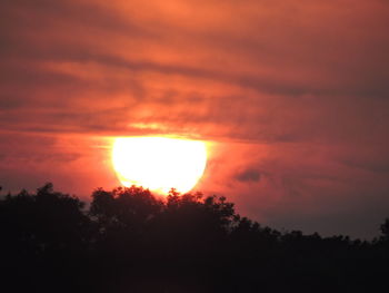 Low angle view of silhouette trees against orange sky