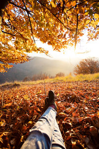 Low section of person legs by autumn leaves on land