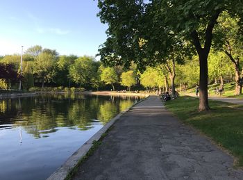 Scenic view of lake by trees against sky