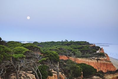 Scenic view of landscape against clear sky