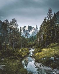 Scenic view of waterfall amidst trees in forest against sky