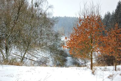 Scenic view of landscape