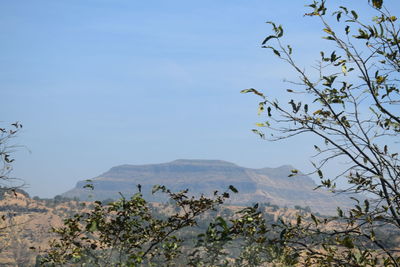 Scenic view of mountains against clear sky