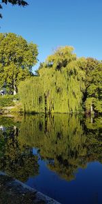 Scenic view of lake against clear blue sky