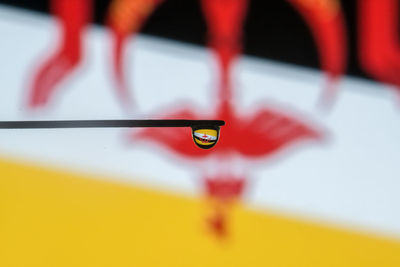 Reflection of brunei flag on water drop