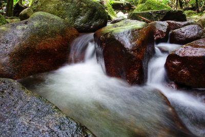 View of waterfall in forest