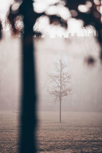 Scenic view of lake