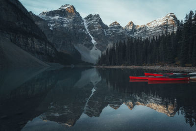 scenics - nature