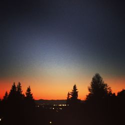 Silhouette trees against clear sky at night