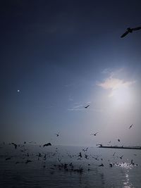 flying