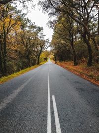 Empty road amidst trees