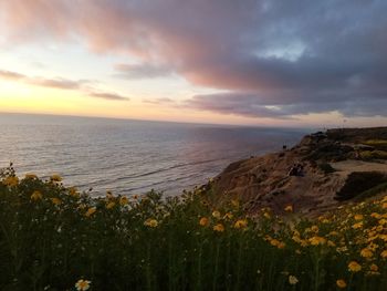 Scenic view of sea against sky during sunset