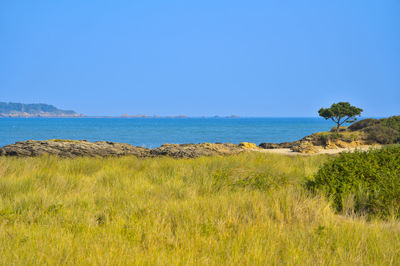 Scenic view of sea against clear sky