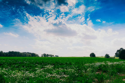 Scenic view of landscape against cloudy sky