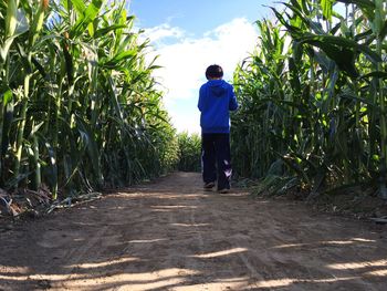 Rear view of woman walking on road