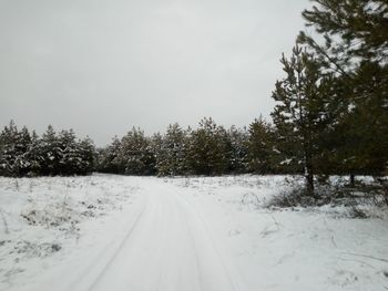 Snow covered road amidst trees against sky