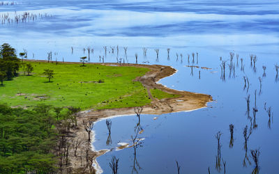 Aerial view of lake by field