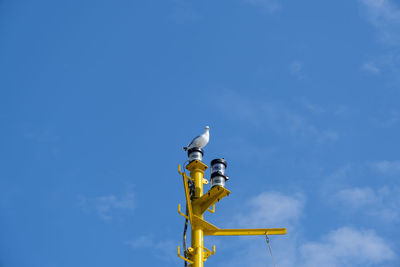 Low angle view of street light against sky