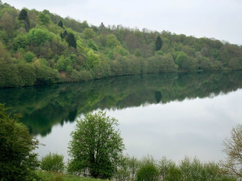 Scenic view of lake amidst trees in forest against sky