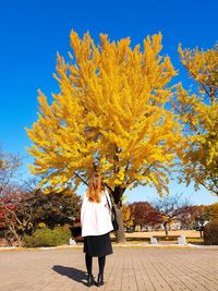 Rear view of woman standing by tree against sky