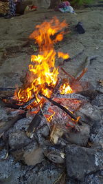 Campfire at night