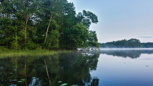 Reflection of trees in lake