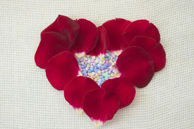 Close-up of red heart shaped flower