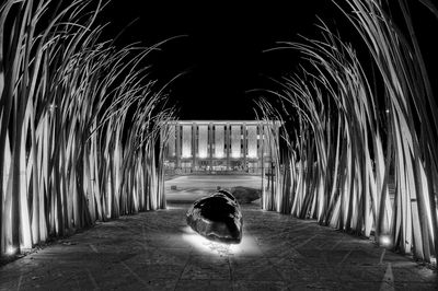 Rear view of man sitting at night