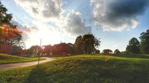 Trees on field against sky
