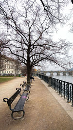 Empty bench in park against sky