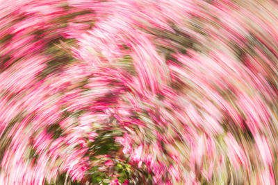 Full frame shot of multi colored abstract background