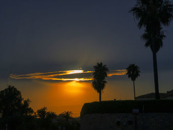 Silhouette palm trees against sky during sunset