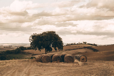 Hay bales on field against sky