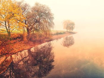 Scenic view of lake in forest during autumn