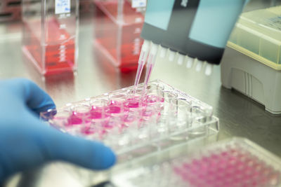 Cropped hand of scientist working in laboratory