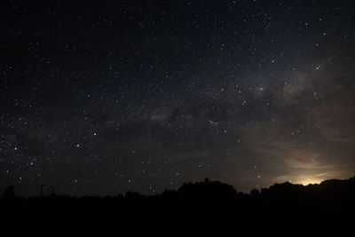 Low angle view of trees against star field at night