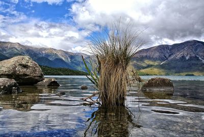 Scenic view of lake and mountains against sky