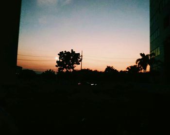 Silhouette of trees at sunset