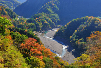 High angle view of trees in forest during autumn