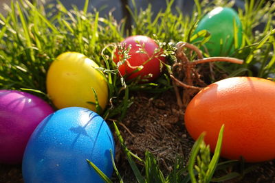 Close-up of multi colored easter eggs