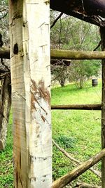 Close-up of wooden fence in backyard