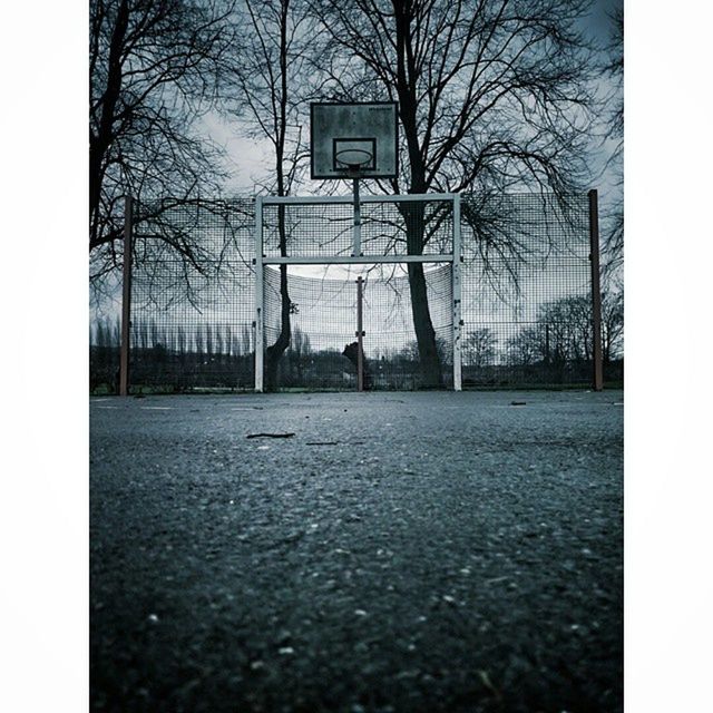 tree, bare tree, transfer print, building exterior, architecture, auto post production filter, built structure, sky, street, road, transportation, silhouette, day, empty, outdoors, no people, city, window, road sign, absence