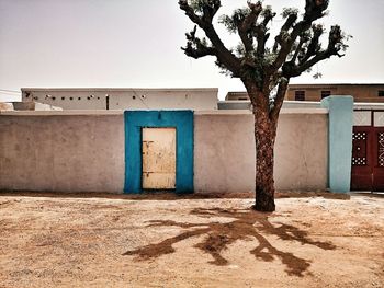 Houses with trees in background