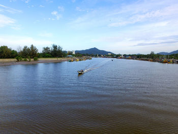 Swan on lake against sky