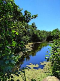 Scenic view of lake against clear blue sky