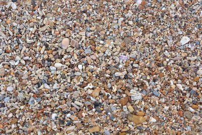 Full frame shot of pebbles on beach