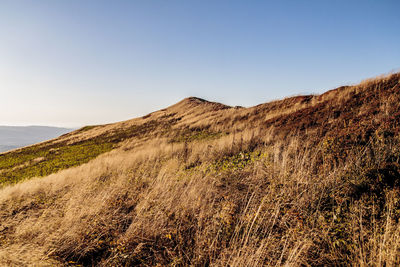 Scenic view of landscape against clear sky